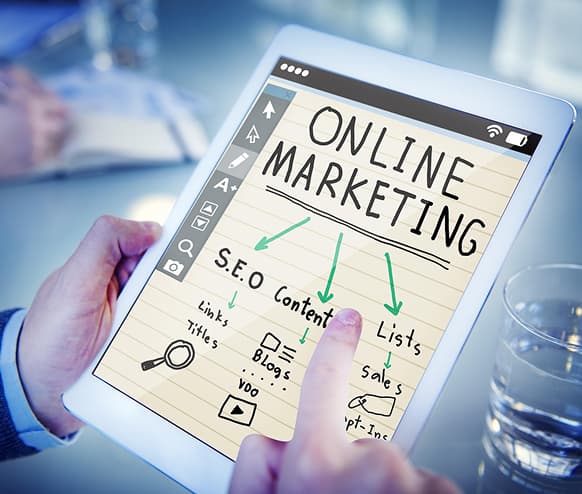 Provo Case Study Four